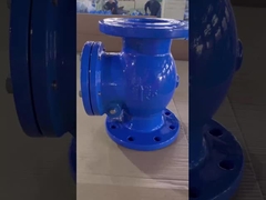 Air Swing Check Valve Wajah ke Wajah DIN3202-F6