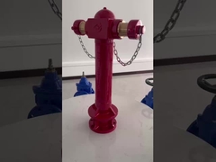 BS750 Hidran Api Vertikal Untuk Perlindungan Api Dicat Merah Tekanan PN16 Sertifikasi ISO9001