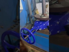 DIN3352-F4 Resilent Soft Seat Rising Stem Gate Valves